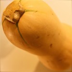 Butternut Squash
